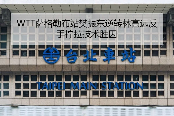 WTT萨格勒布站樊振东逆转林高远反手拧拉技术胜因