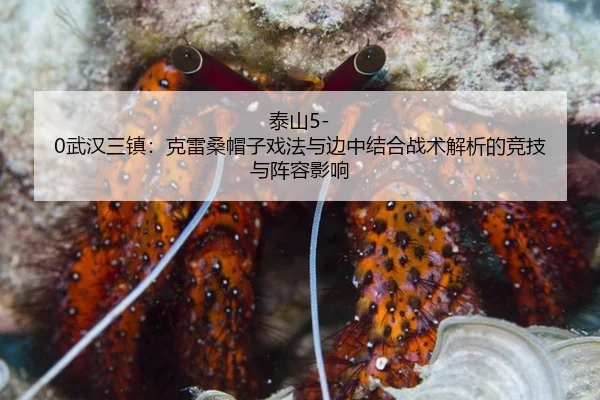 tai-shan-wu-han-san-zhen-ke-lei-sang-mao-zi-xi-fa-yu-bian-zhong-jie-he-zhan-shu-jie-xi-de-jing-ji-yu-zhen-rong-ying-2-124.jpg