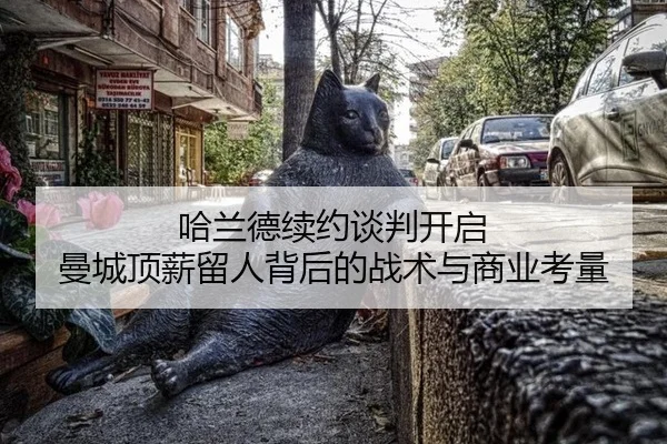 ha-lan-de-xu-yue-tan-pan-kai-qi-man-cheng-ding-xin-liu-ren-bei-hou-de-zhan-shu-yu-shang-ye-kao-liang-2-629.jpg